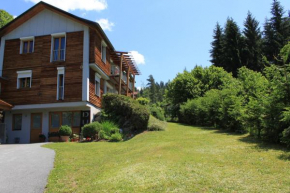 Dualhaus Apartments, Presseggersee, Österreich